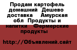 Продам картофель домашний! Дешево, доставка  - Амурская обл. Продукты и напитки » Фермерские продукты   